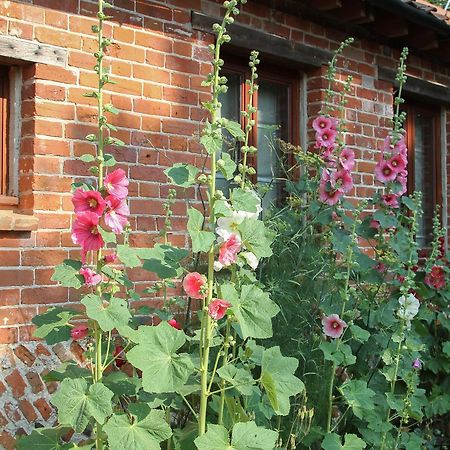 Villa Elm Tree Barn Felmingham Esterno foto
