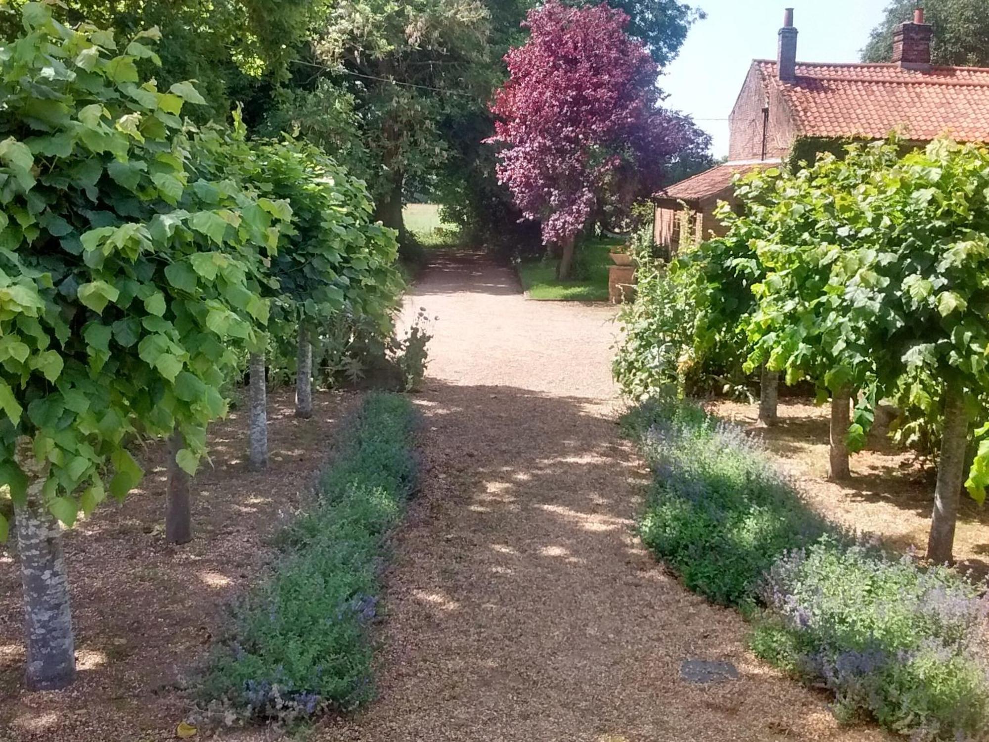 Villa Elm Tree Barn Felmingham Esterno foto